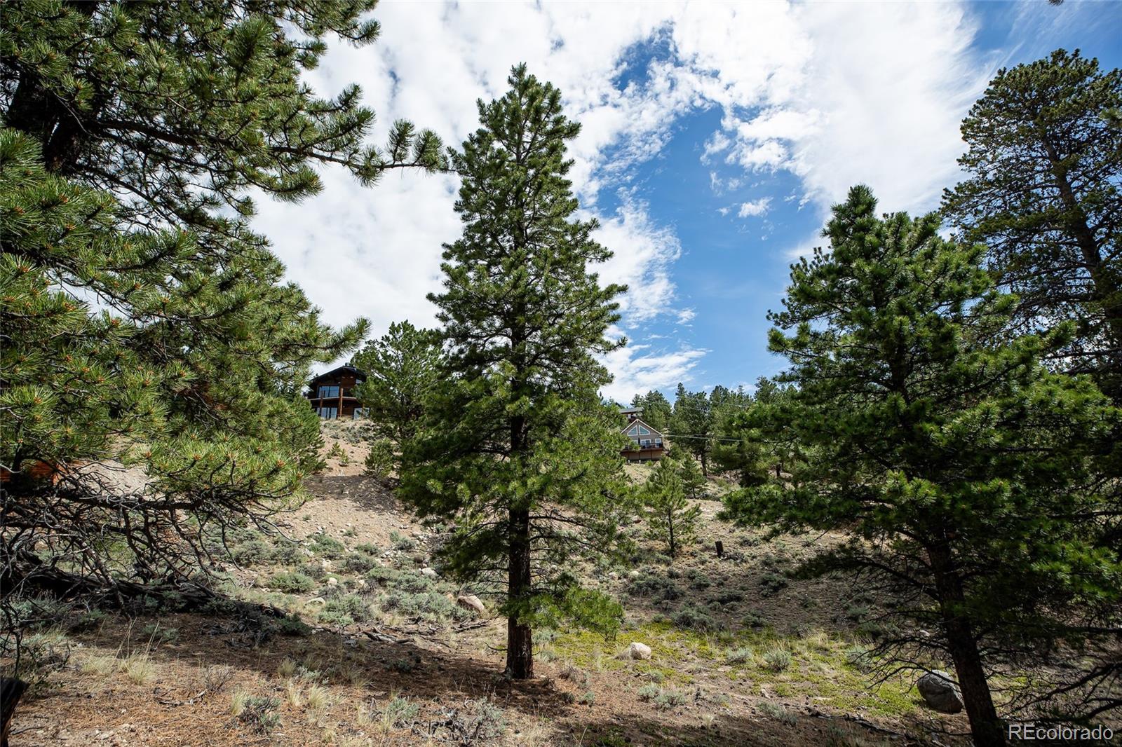 350 La Plata Peak Drive