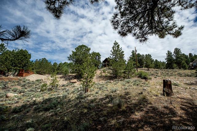350 La Plata Peak Drive