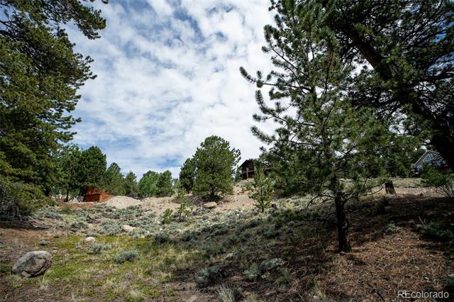 350 La Plata Peak Drive