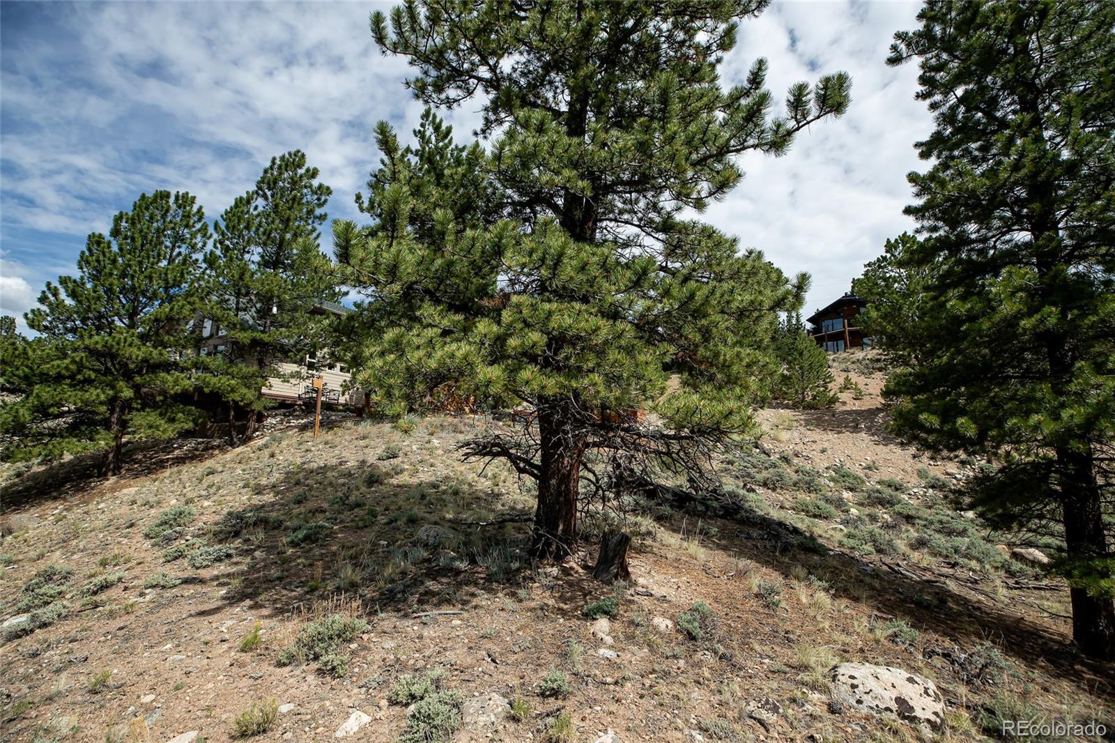350 La Plata Peak Drive