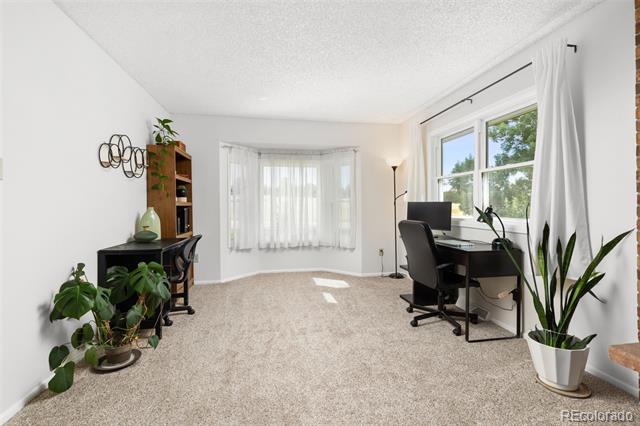 8677 Thunderbird Circle