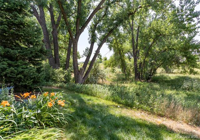 6722 S Wolff Court