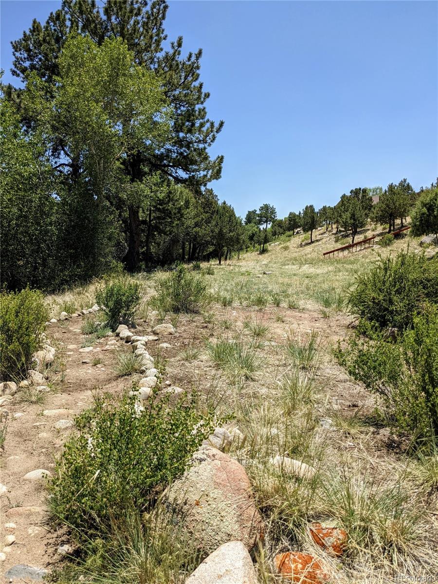 27665 lot 41 COUNTY ROAD 313