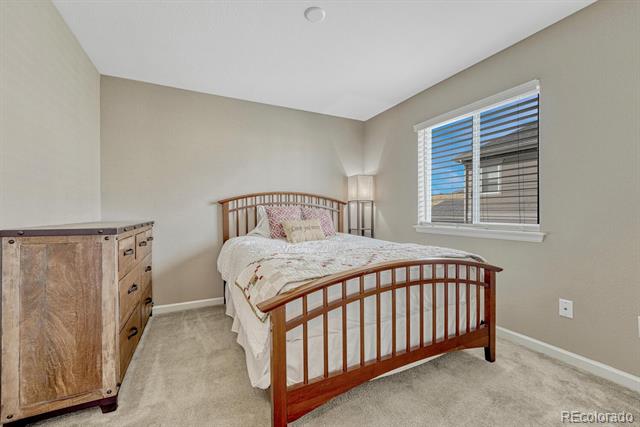 7516 Oasis Drive
