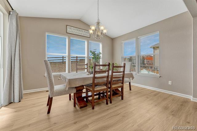 7516 Oasis Drive