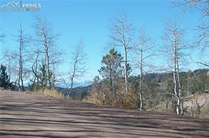 168 Wildhorse Road