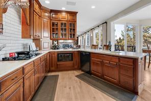 855 Pollux Drive