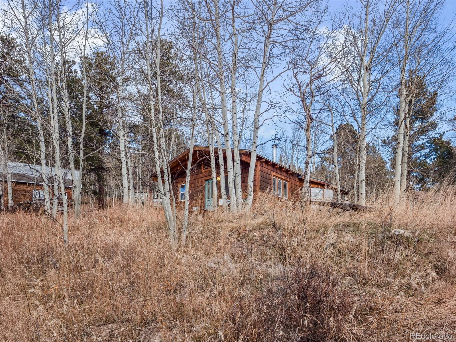 757 Lower Travis Gulch Road