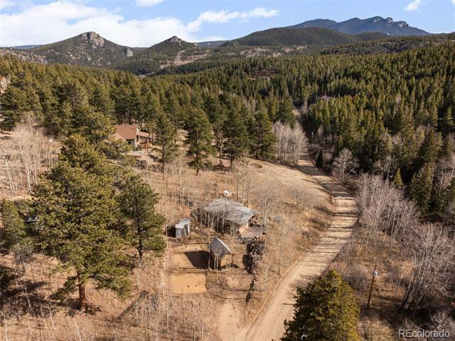 757 Lower Travis Gulch Road