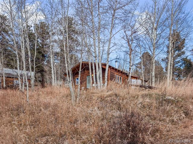 757 Lower Travis Gulch Road