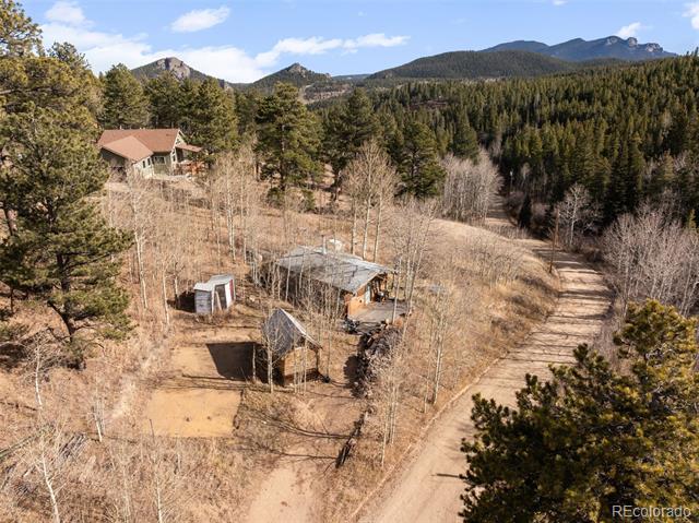 757 Lower Travis Gulch Road