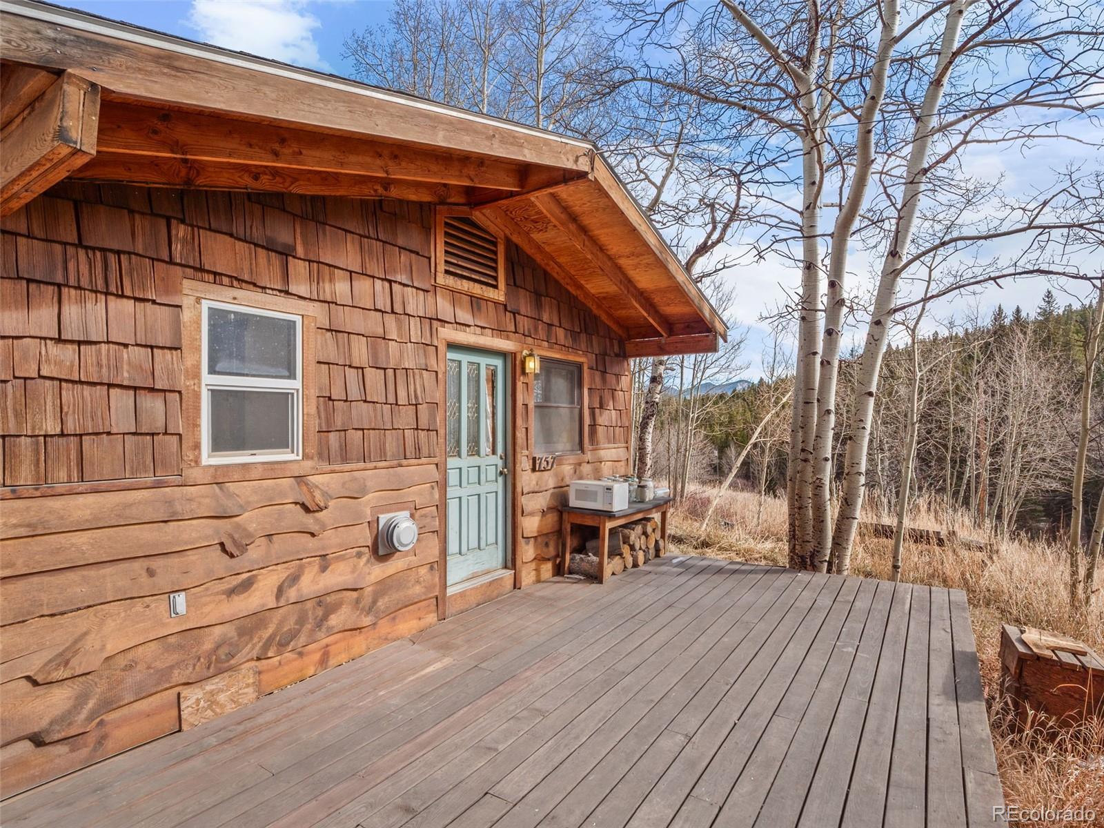 757 Lower Travis Gulch Road
