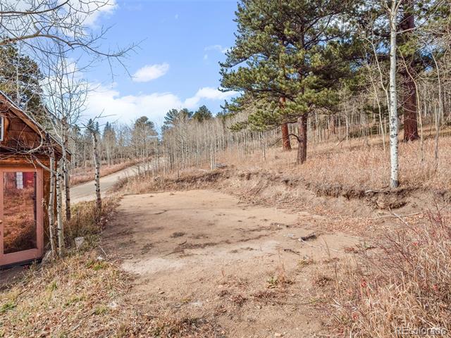 757 Lower Travis Gulch Road