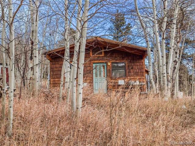 757 Lower Travis Gulch Road