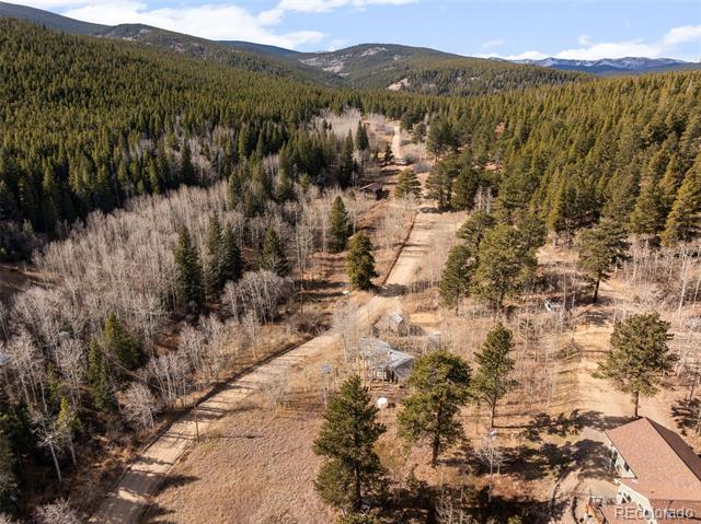 757 Lower Travis Gulch Road