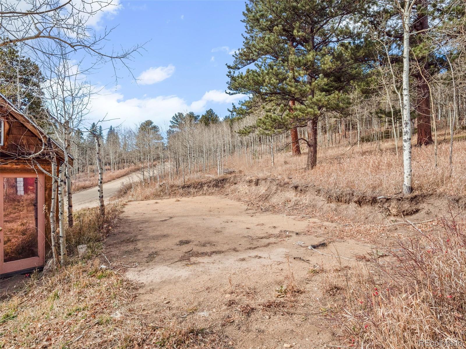 757 Lower Travis Gulch Road