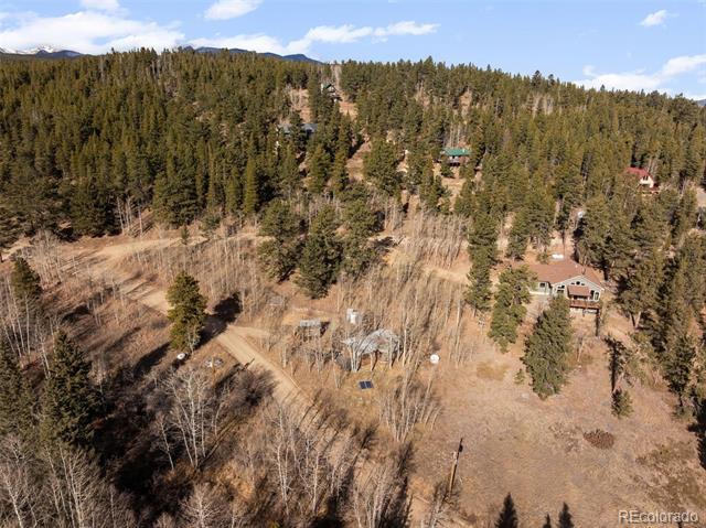 757 Lower Travis Gulch Road
