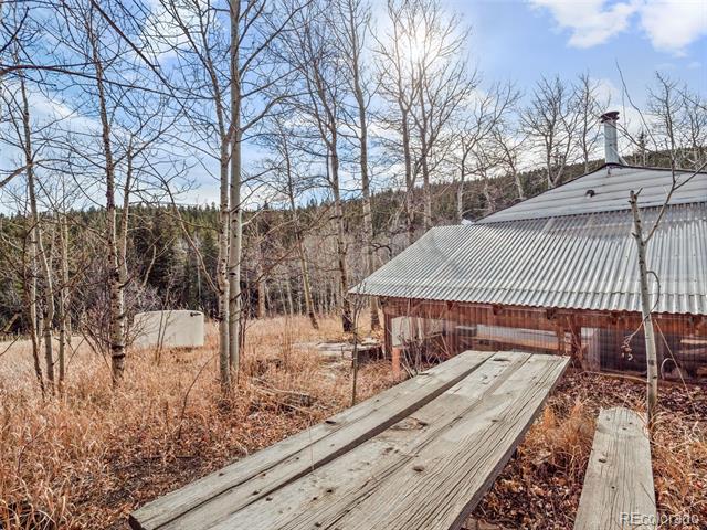 757 Lower Travis Gulch Road
