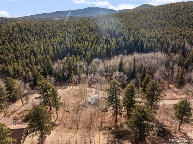 757 Lower Travis Gulch Road
