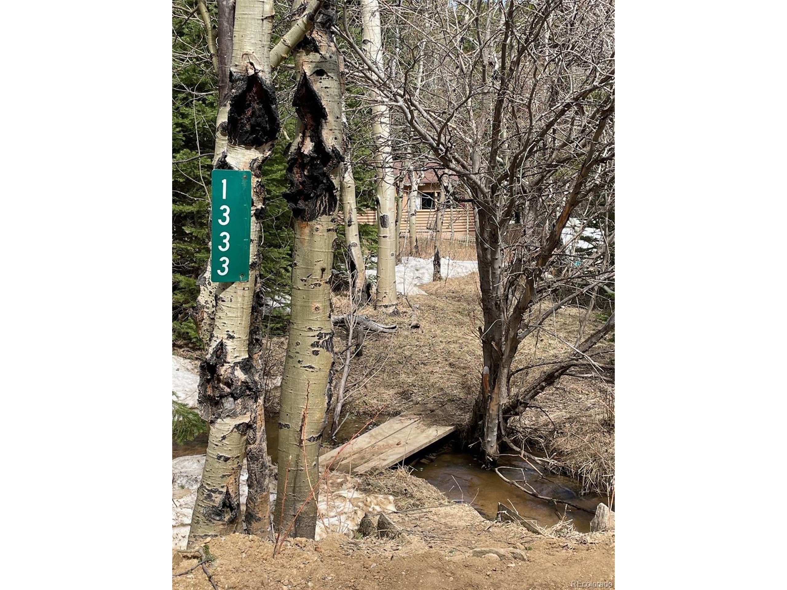 1333 County Road 100