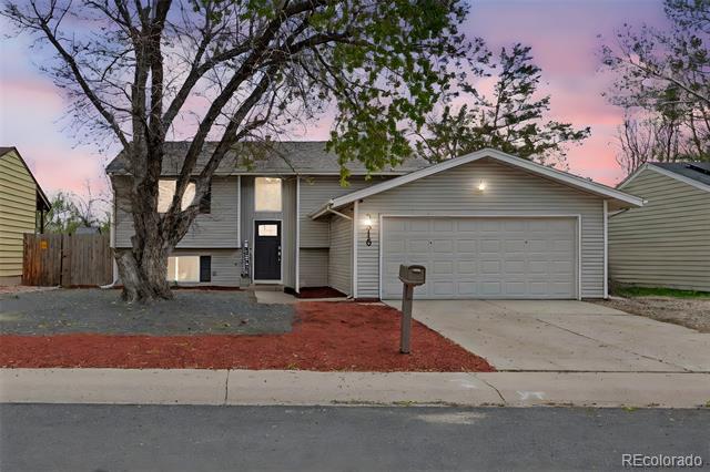 3516 Marigold Street