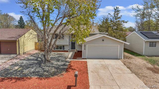 3516 Marigold Street