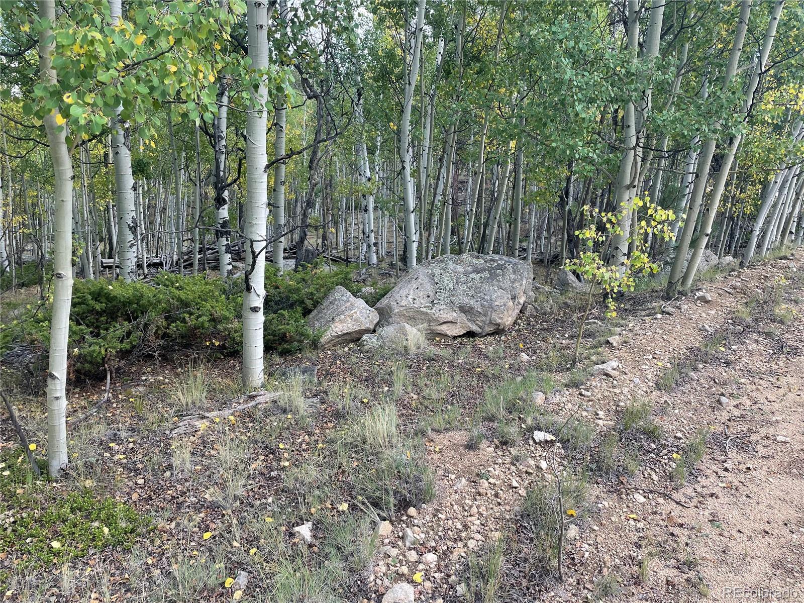 451 Shenandoah Path