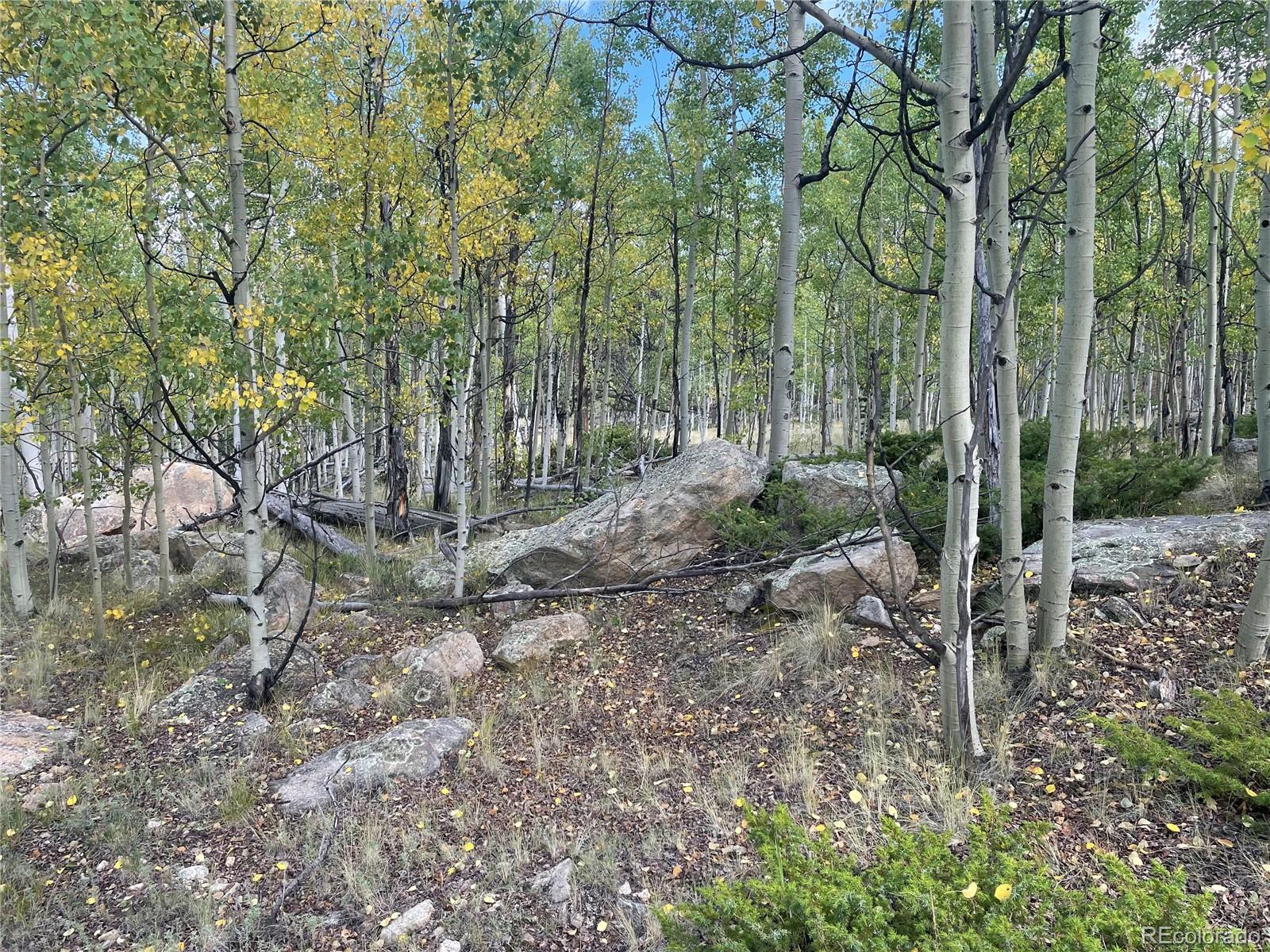 451 Shenandoah Path