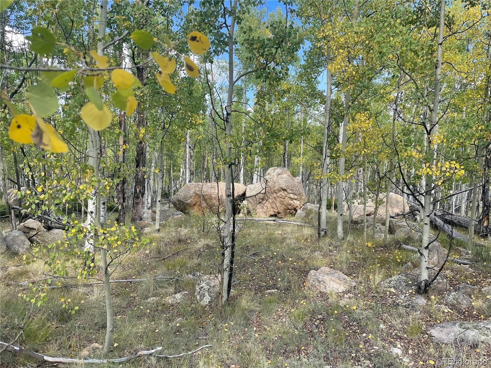 451 Shenandoah Path