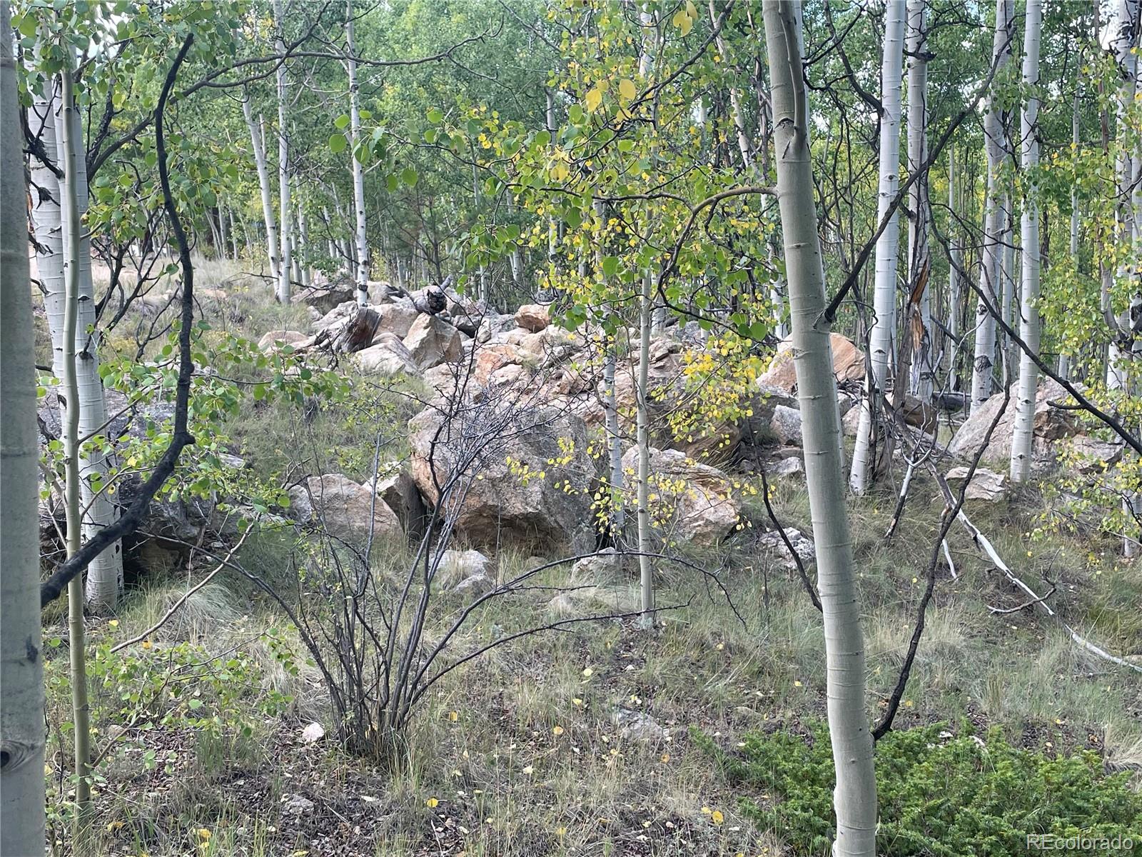 451 Shenandoah Path