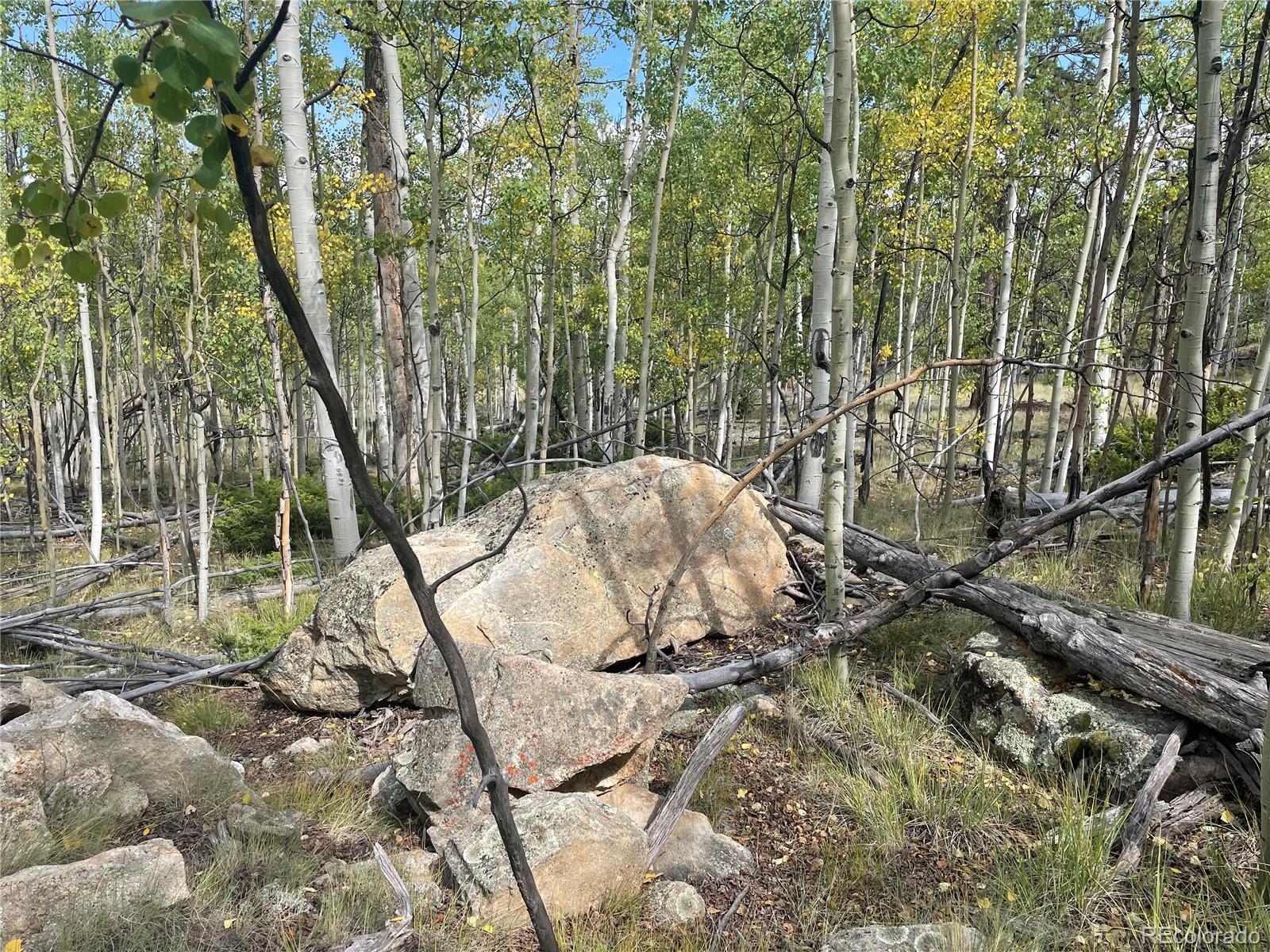 451 Shenandoah Path
