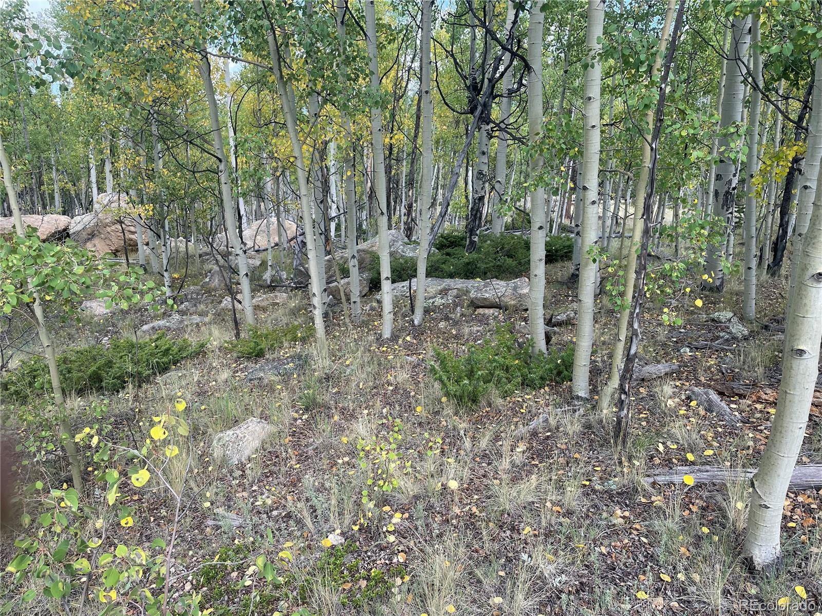 451 Shenandoah Path