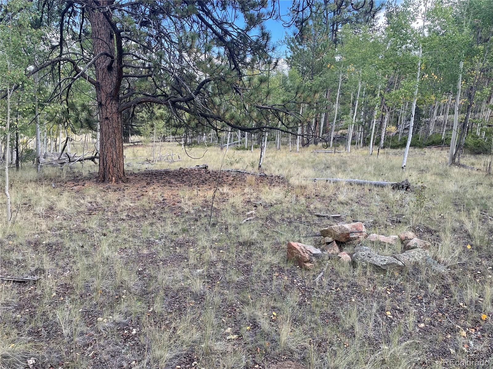 451 Shenandoah Path