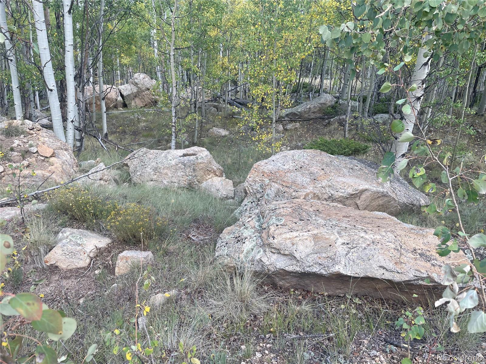 451 Shenandoah Path