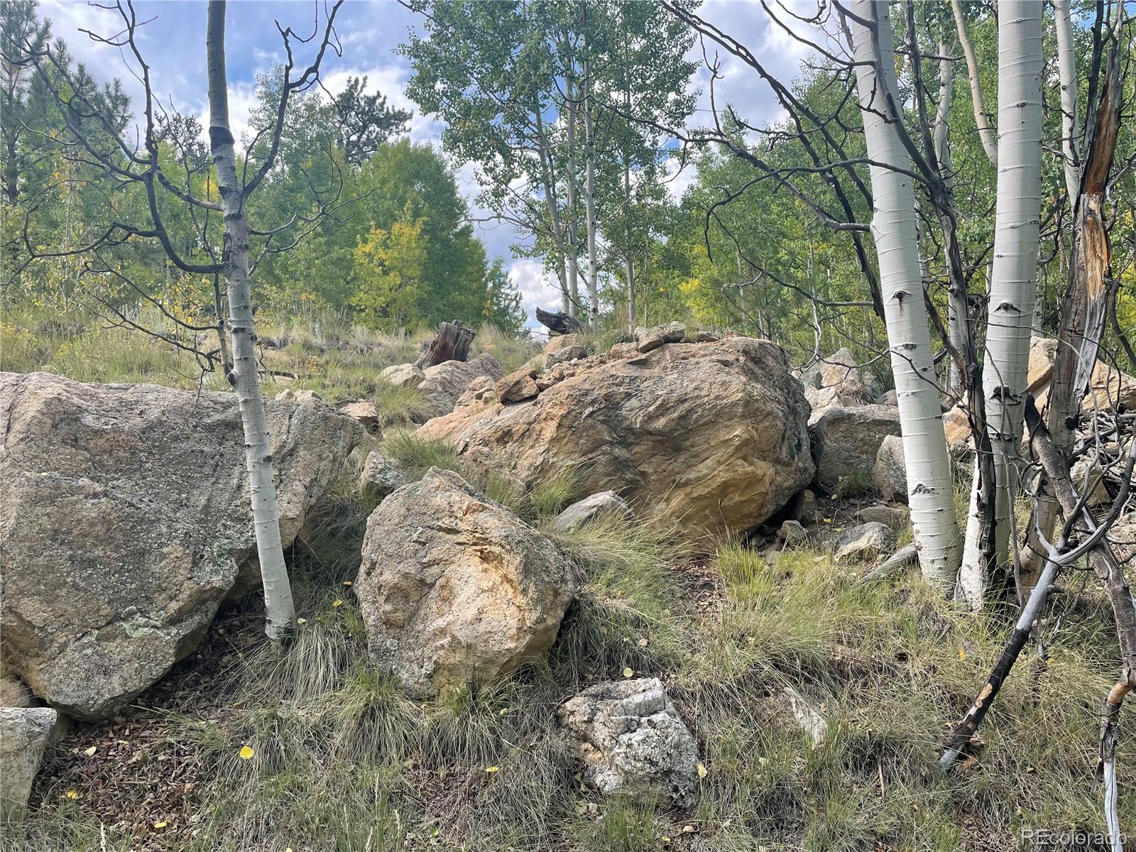 451 Shenandoah Path