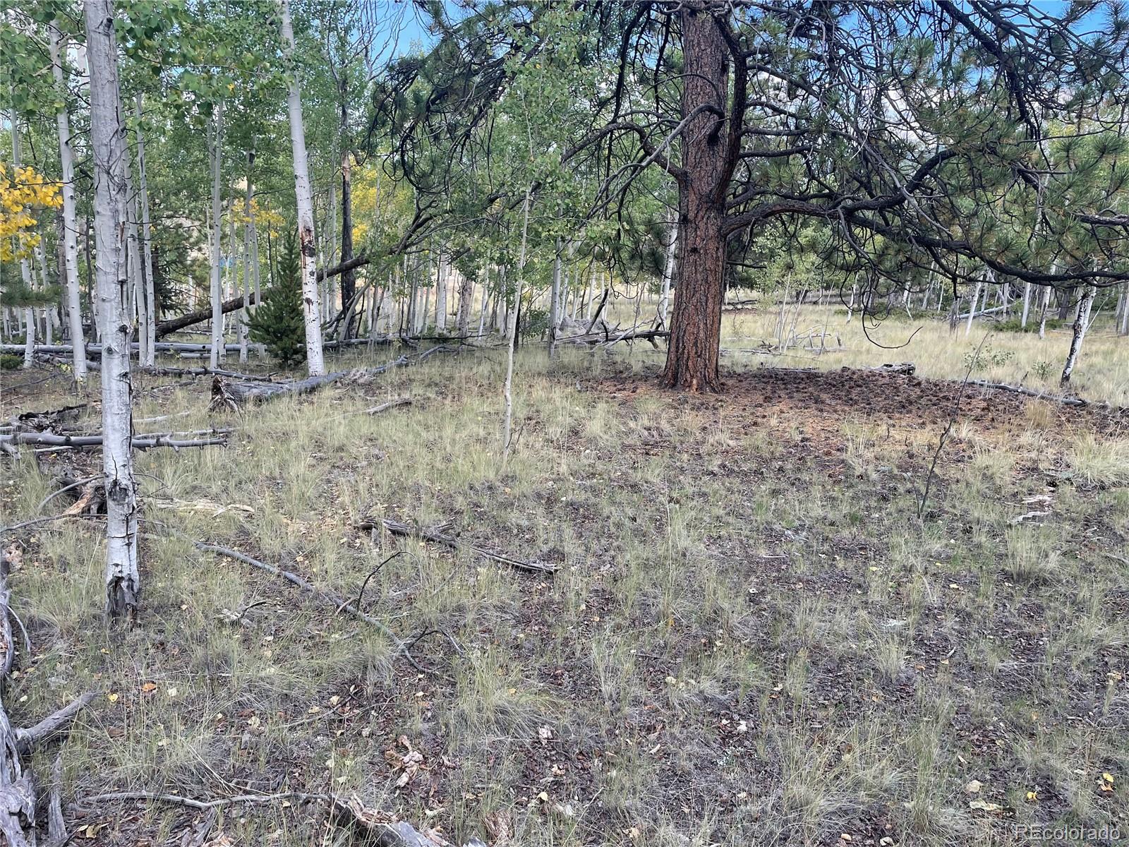 451 Shenandoah Path