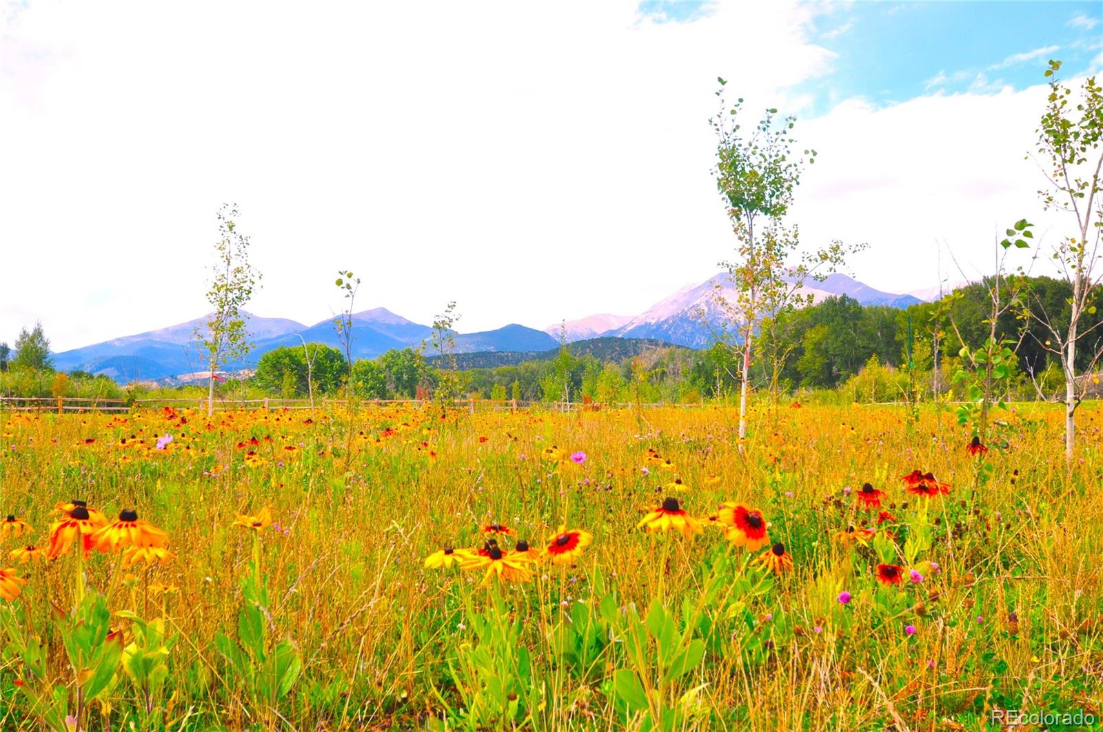 7384 Heavenly View Parkway