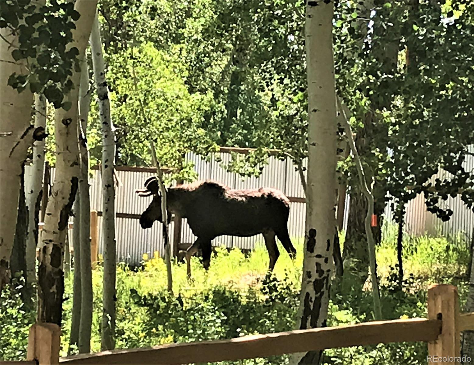 7384 Heavenly View Parkway