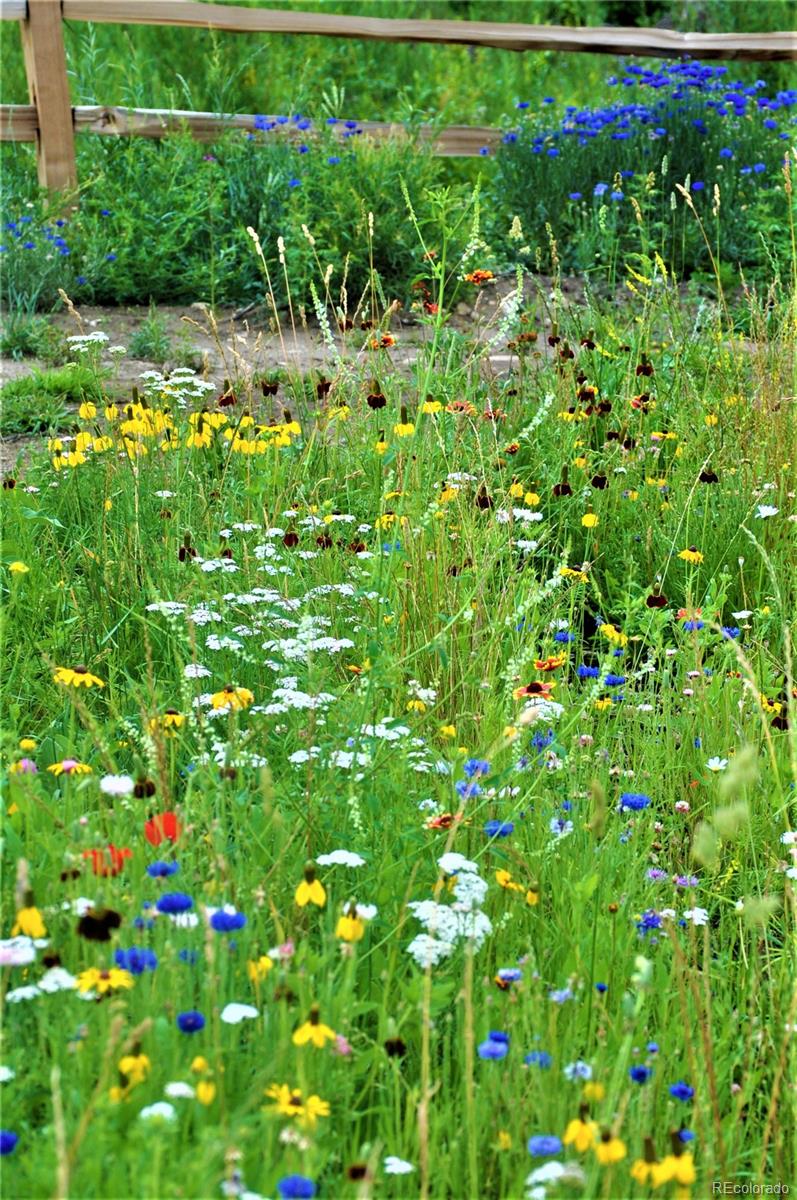 7384 Heavenly View Parkway