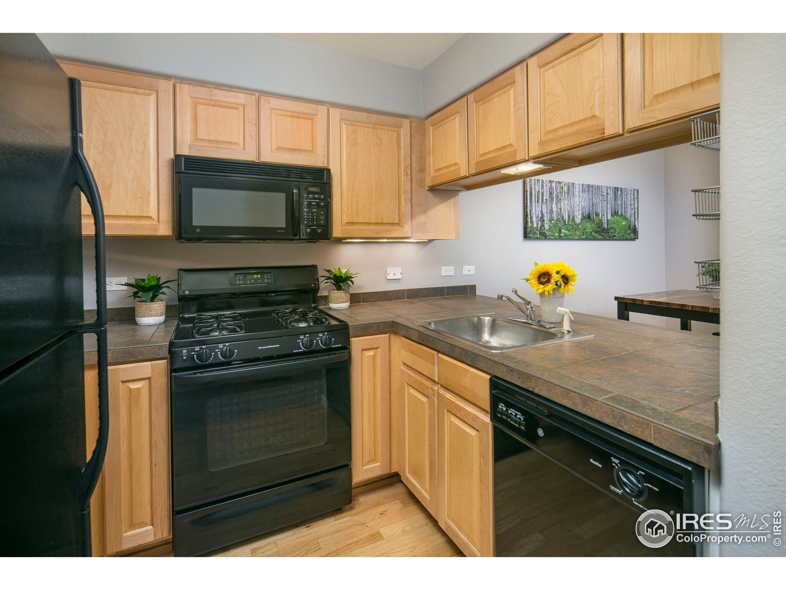 947 Laramie Blvd Unit: B-13
