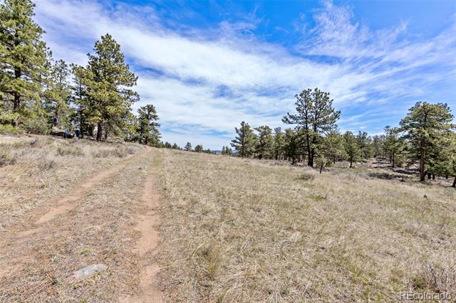13118 County Road 67J