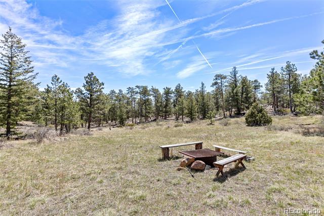 13118 County Road 67J