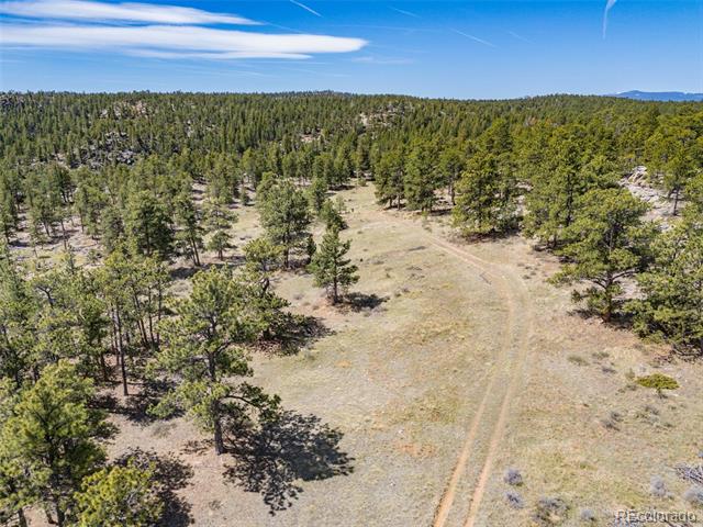 13118 County Road 67J