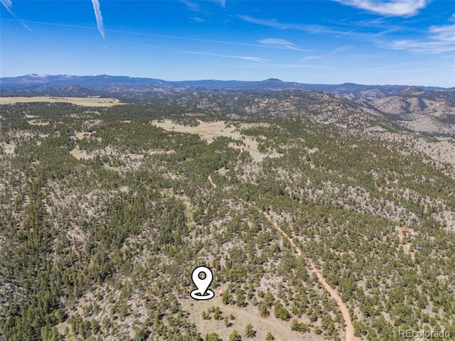 13118 County Road 67J