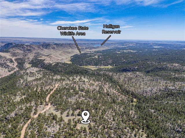 13118 County Road 67J