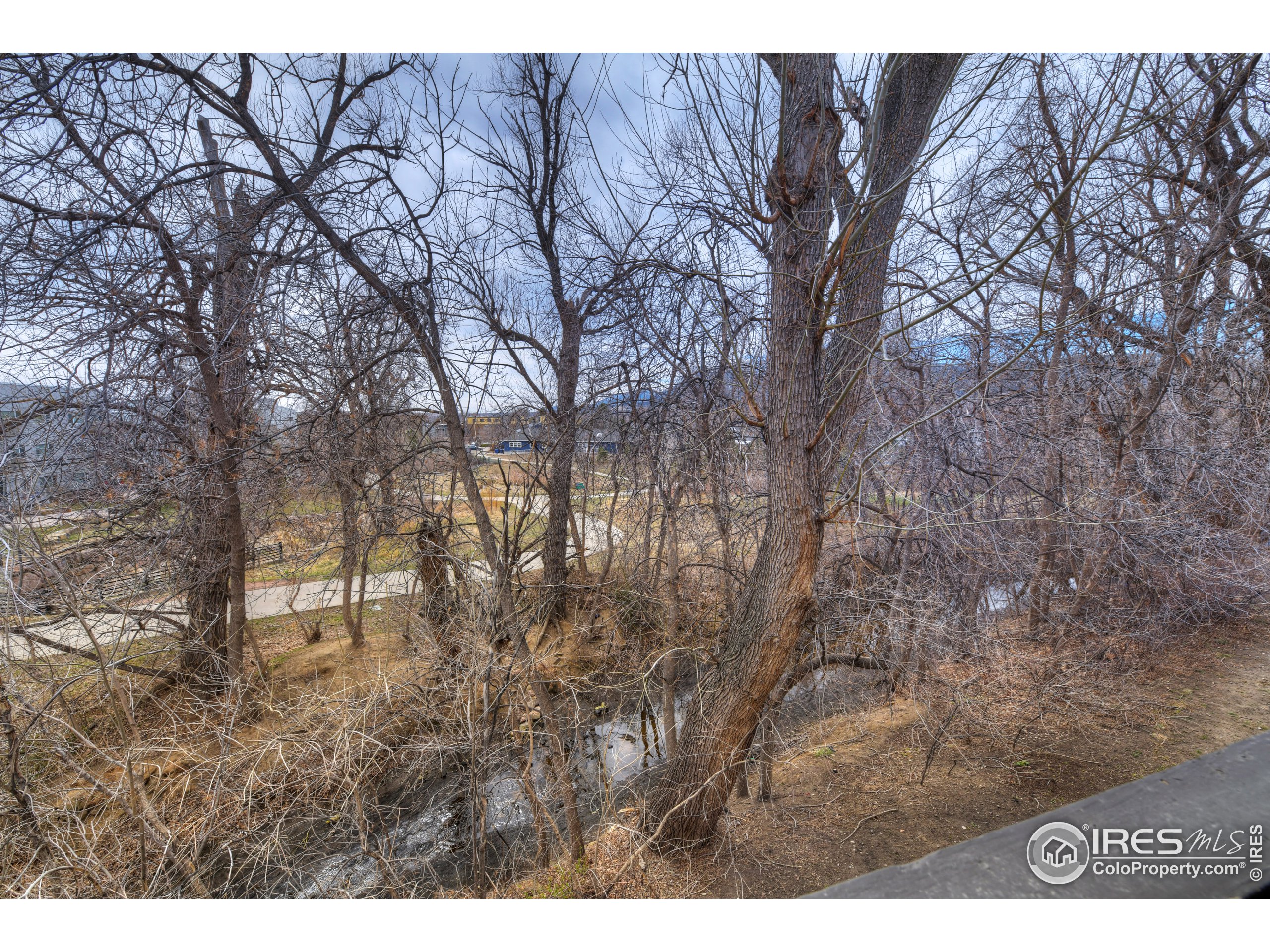2909 Shady Holw E