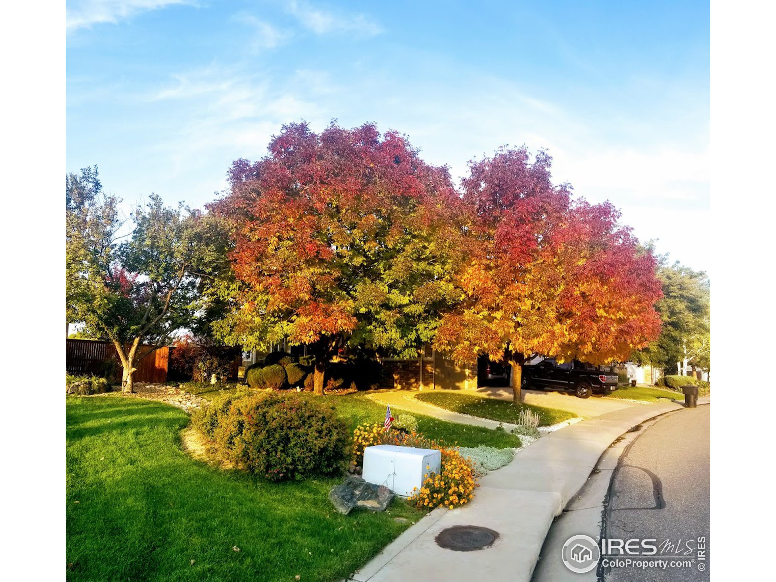 709 Glenarbor Cir