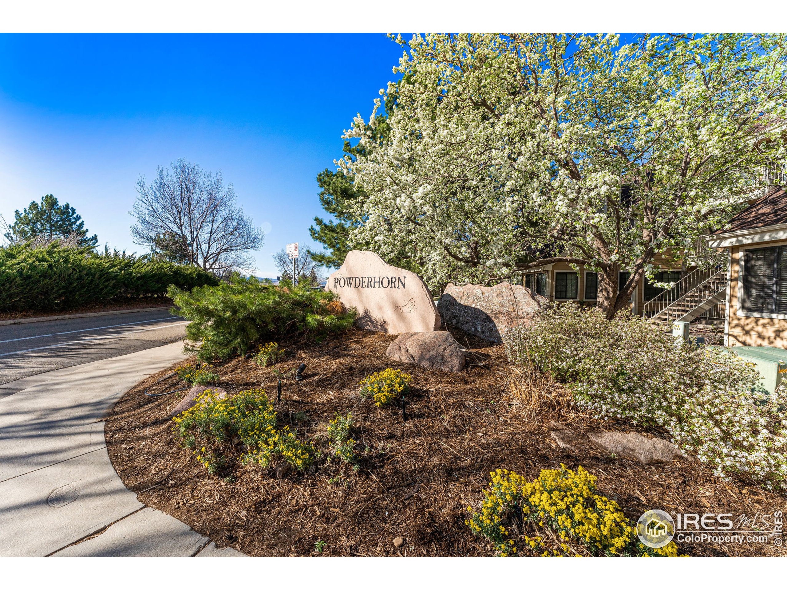 4705 Spine Rd Unit: E