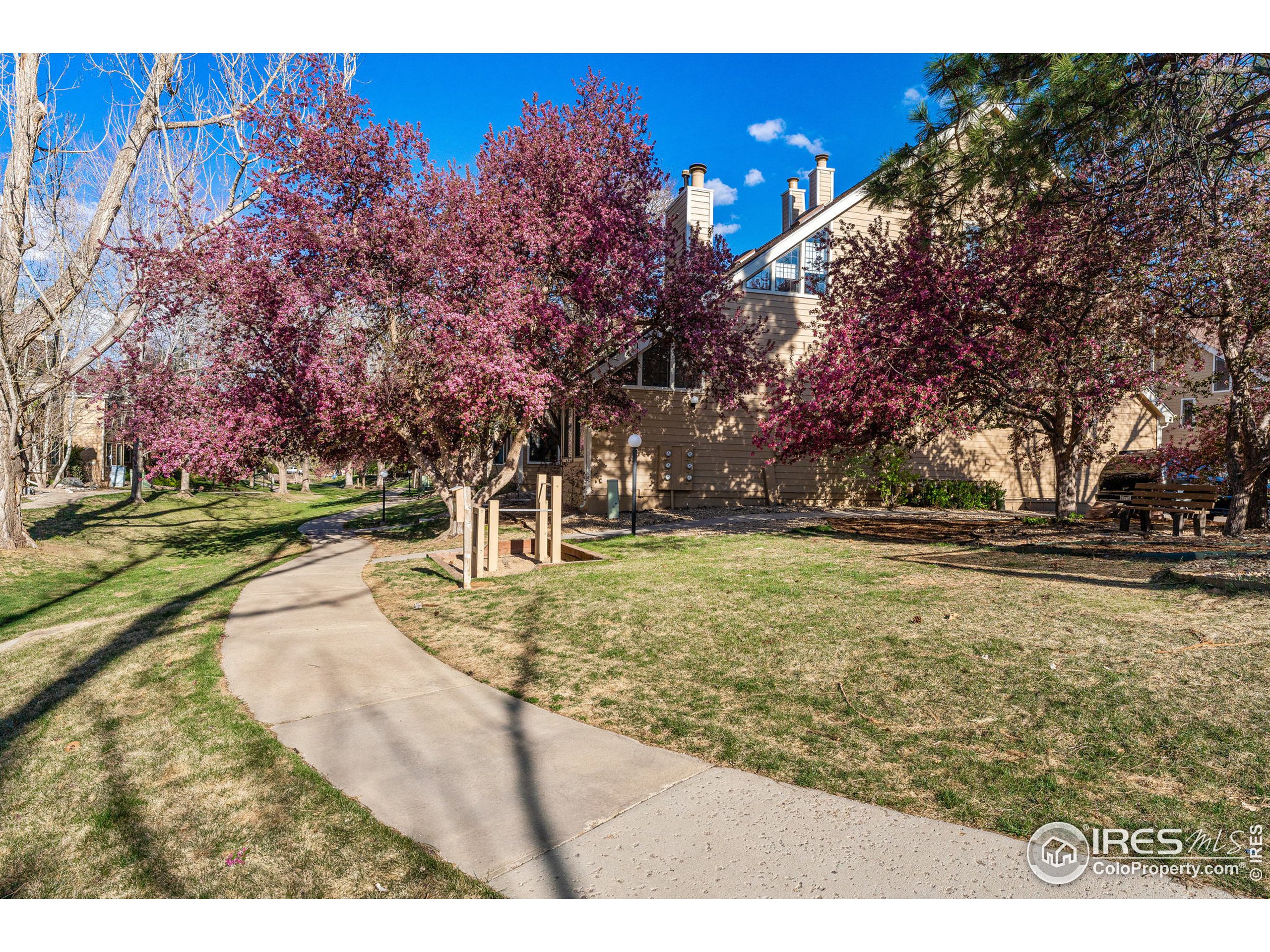 4705 Spine Rd Unit: E
