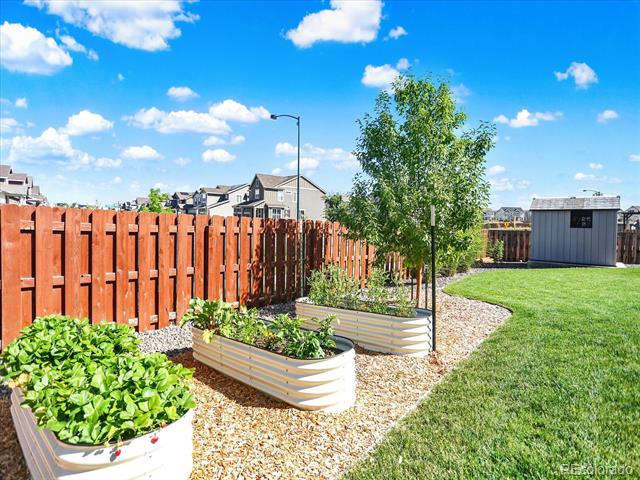 11047 Wheeling Court